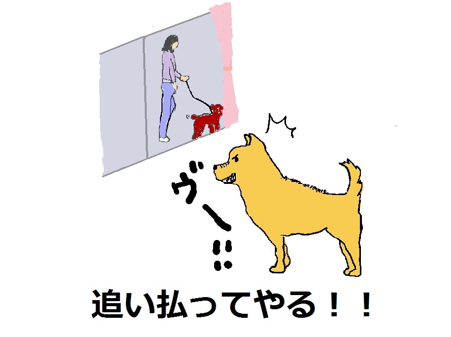 外では吠えないのに家の中から他犬に吠えるのはなんで 犬のきもち