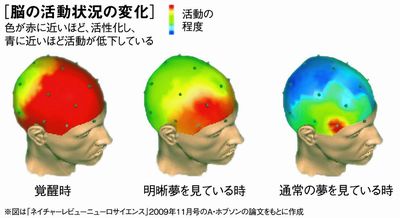 Tvが教える明晰夢の見方 スピリチュアルカウンセラーhappyリマ