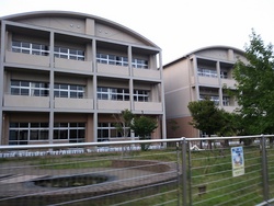徳島中学校