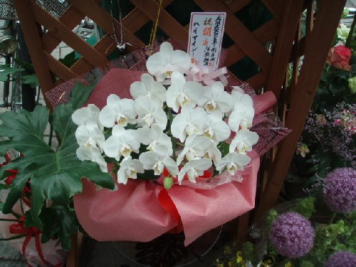 ララガーデンからのお祝いのお花