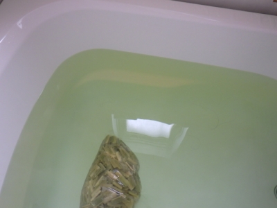 マコモ風呂を極みてみるよ その次 カラダ天使は乳酸菌とミネラルの発酵サロン なのだ 笑