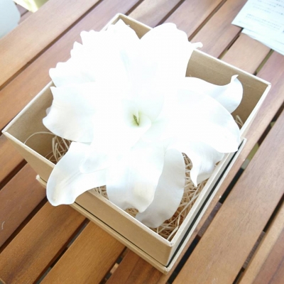 ドレス小物が激安格安なのは東京青山の大人ウェディング.com青山サロン