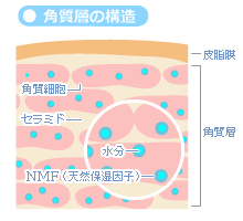 肌トラブルを防ぐには 美肌のカギ オーガニックコスメでリラックスライフ Organic Style Japan