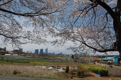DSC_0070.JPG