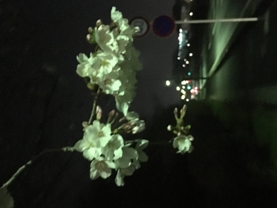 2017-04-03 20.41.26.jpg