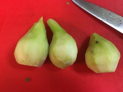 2017-04-03 22.34.39.jpg