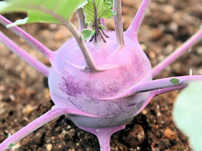 2017-04-03 23.31.35.jpg