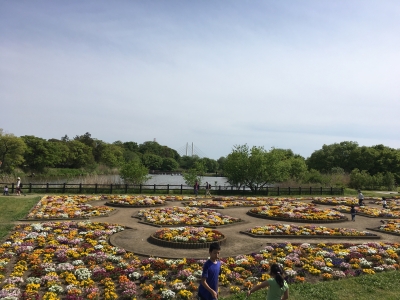 2017-05-03 14.26.44.jpg