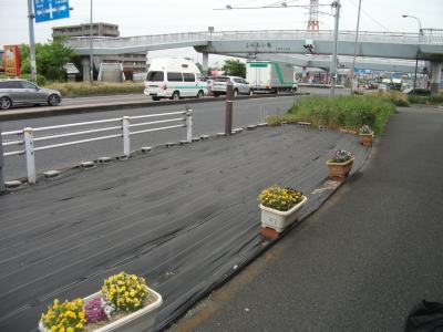 DSCF7951.JPG