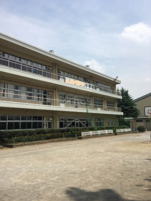2017-06-24 11.20.51.jpg