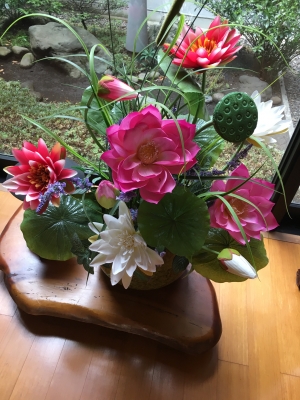 2017-06-25 11.14.53.jpg