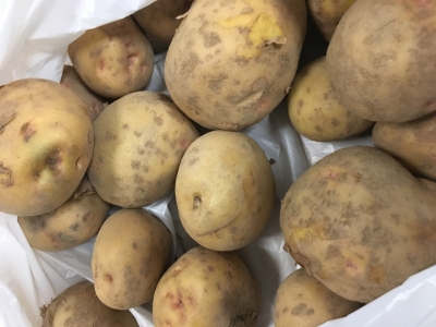 2017-06-25 20.54.02.jpg