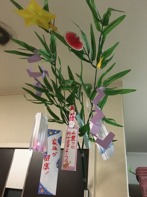 2017-07-07 20.07.06.jpg