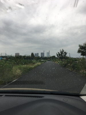 2017-09-16 16.55.04.jpg