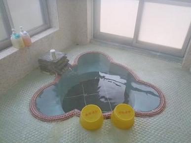 丸子温泉郷・雲泉寺温泉　「和泉屋旅館」画像