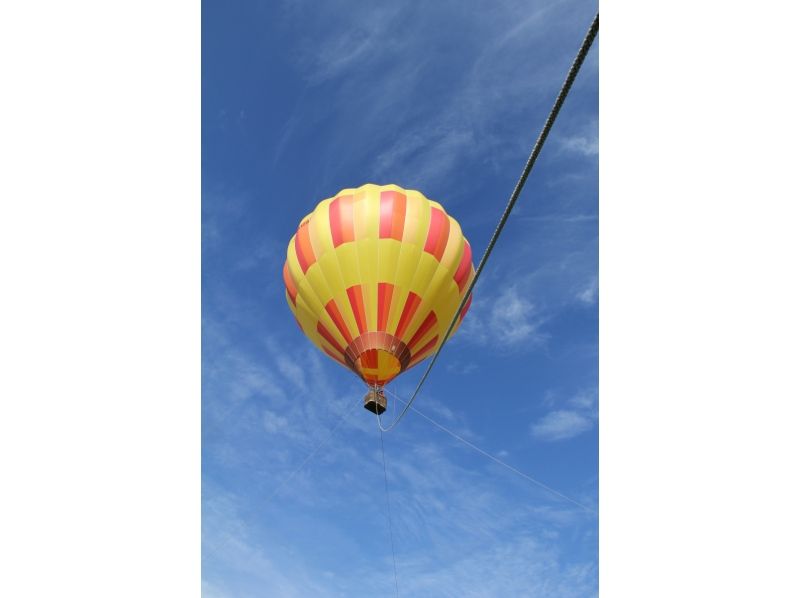 【北海道・ニセコ】　朝の光の中でふんわりと浮かぶ熱気球フライト体験！の紹介画像