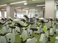 トレーナーとの曜日や時間の約束はよい習慣化につながる
