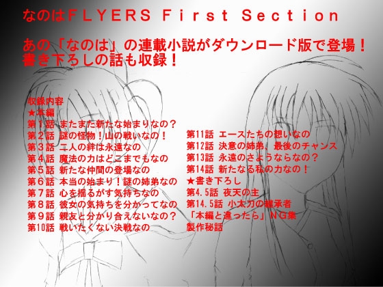 なのはFLYERS First Section