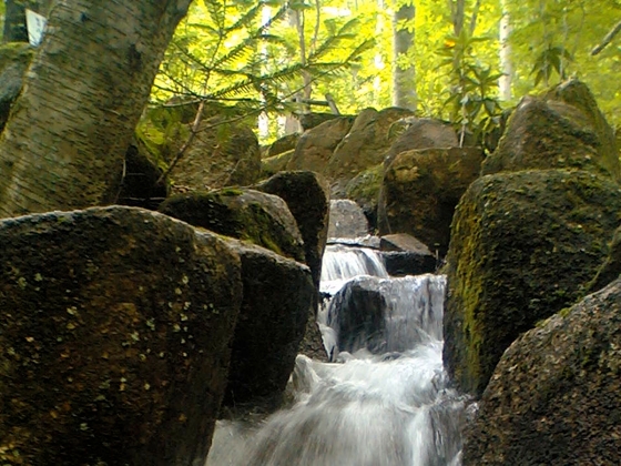 自然音 - 清里 - 小川02