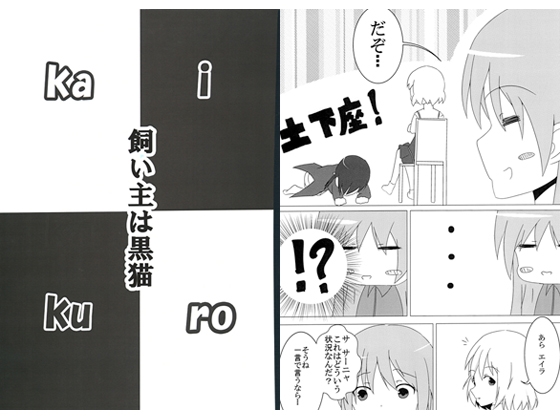 [夕焼けカスケード] 飼い主は黒猫