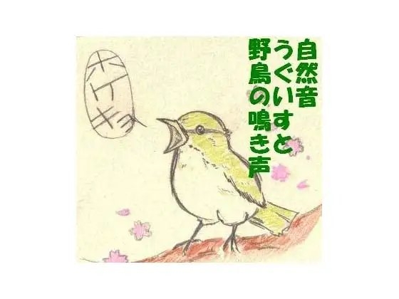 [にくきゅう ぽこ] 自然音 うぐいすと野鳥の鳴き声