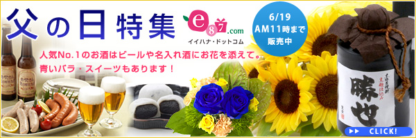 イイハナ･ドットコム e87.com(千趣会イイハナ)父の日特集