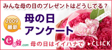 イイハナ･ドットコム e87.com(千趣会イイハナ)母の日特集 2009年母の日アンケート