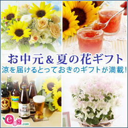 e87.com(千趣会イイハナ)