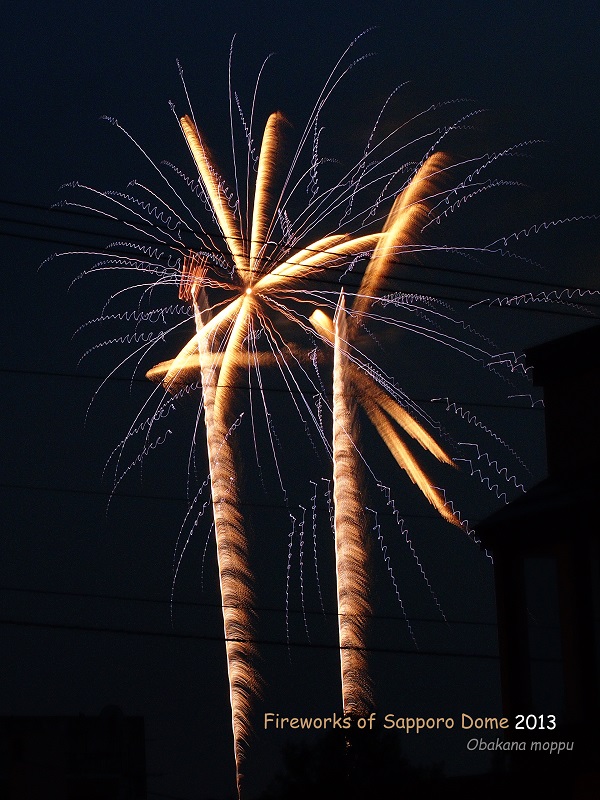 20130707021131