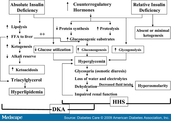 Diabetes Protocol
