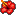 ハイビスカス