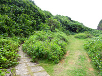 宮古列島 来間島のタコ公園の写真