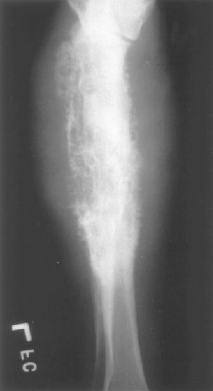 Jiu Jitsu MMA Wrestling Karate Boxing MMA Simsbury Granby CT ...