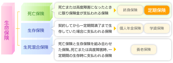 img_20120314-080710.gif