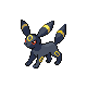 ブラッキー
