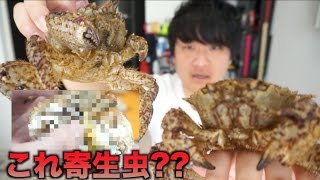 生きたクリガニを蟹味噌エグったら寄生虫みたいなのいたww カニカニパニック