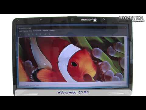 Acer eMachines E725-452G25Mikk (LX.N780C.061)