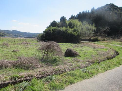 姶良市下名【売地】平坦地地目田畑宅地観光事業用・資材置き場等向き612坪120万円