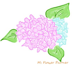 あじさいのイラスト