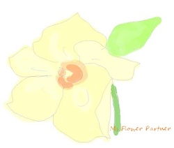 おくらの花