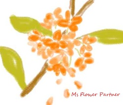 きんもくせいのお花