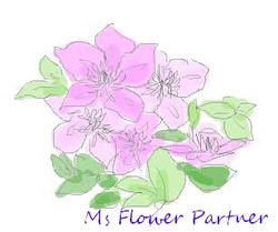 クレマチス　花のイラスト