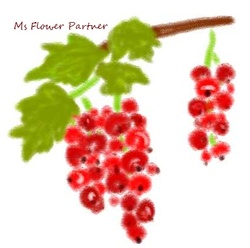 すぐり　お花のイラスト