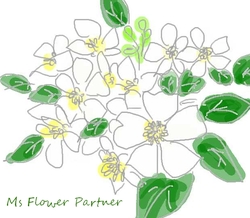 バラのイラスト