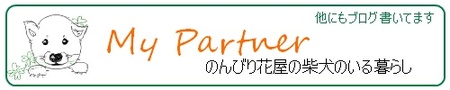 My Partner のんびり花屋の柴犬のいる暮らし