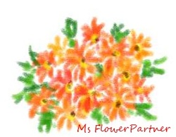 松葉菊　お花のイラスト