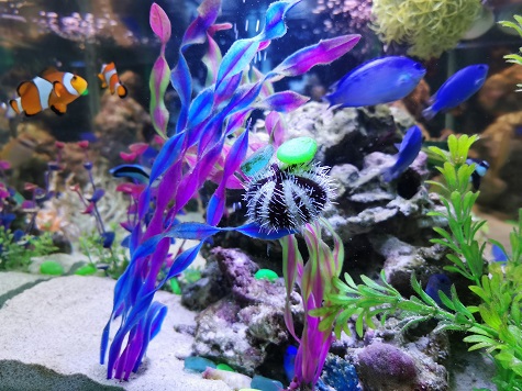 【渋谷駅30秒】深夜まで診療受付のむちうち交通事故治療院・原宿・代々木・恵比寿・新宿・新大久保