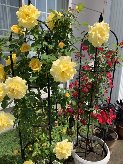 「いえいえ、ちょっとお話しただけです。」