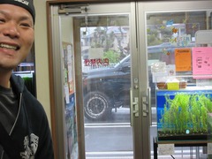 レッドビーシュリンプ繁殖でヤフオク！出品