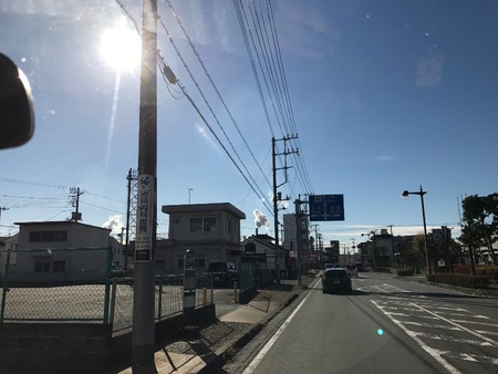 レッドビーシュリンプ　エビ　通販